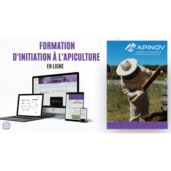 Formation à l'apiculture en...