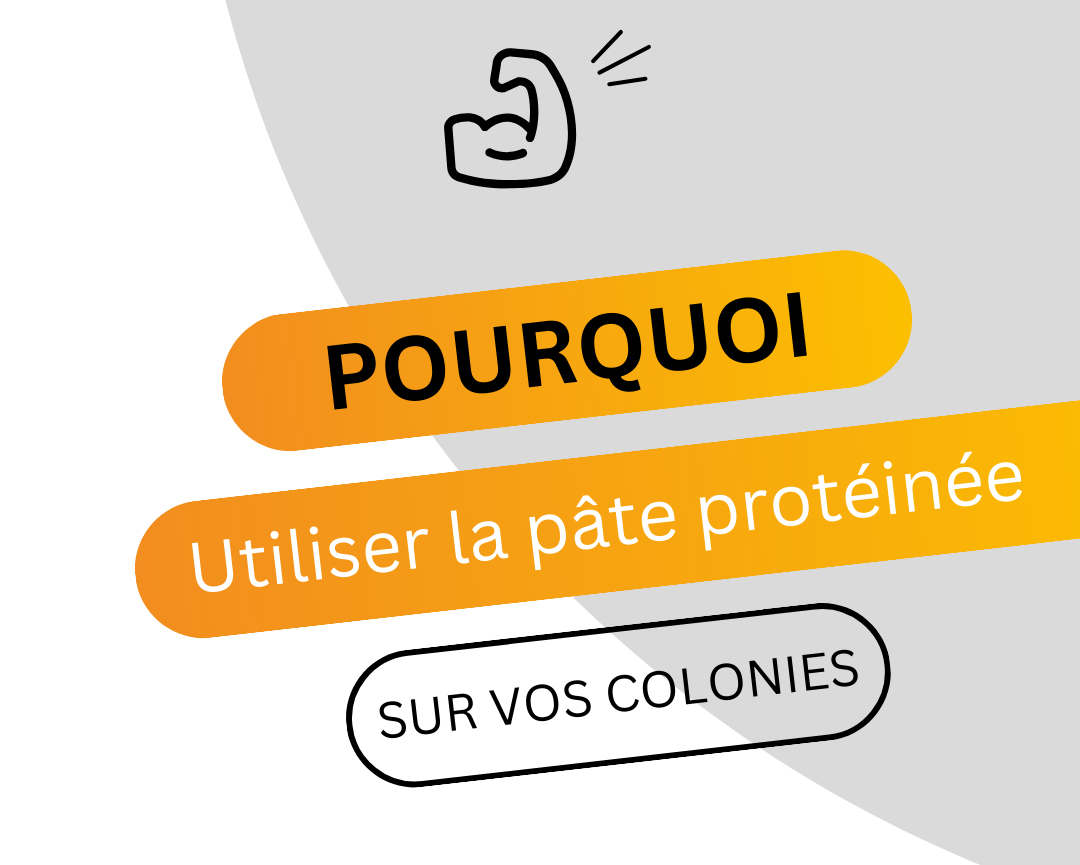 L'utilisation de la pâte protéinée sur vos colonies d'abeilles