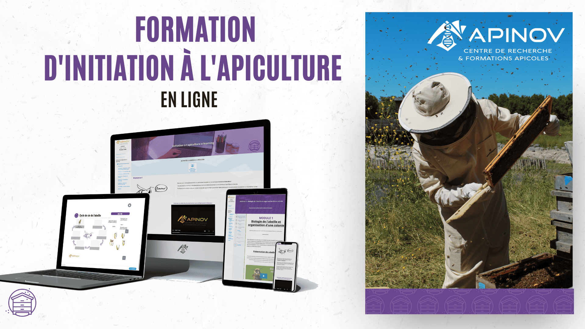 Formation en ligne Apinov 